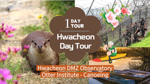 hwacheon-day-tour-from-seoul-hwacheon-chilseong-observatory-otter-research-institute-chuncheon-canoeing-experience_1